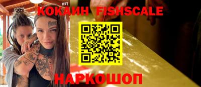 крисы Можга