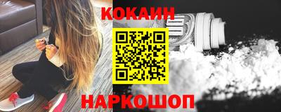 крисы Можга
