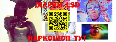 крисы Можга