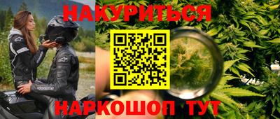 крисы Можга