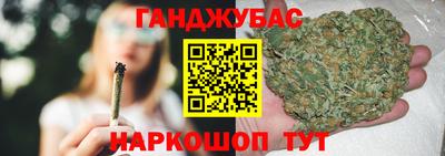 крисы Можга