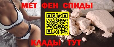крисы Можга