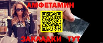 крисы Можга